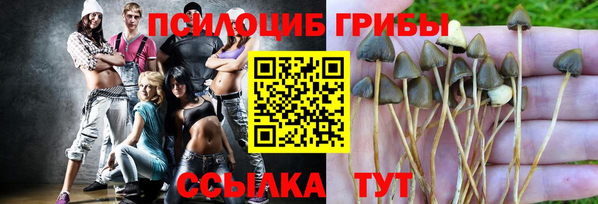 Псилоцибиновые грибы ЛСД  Вход с VPN  закладки  Тосно 
